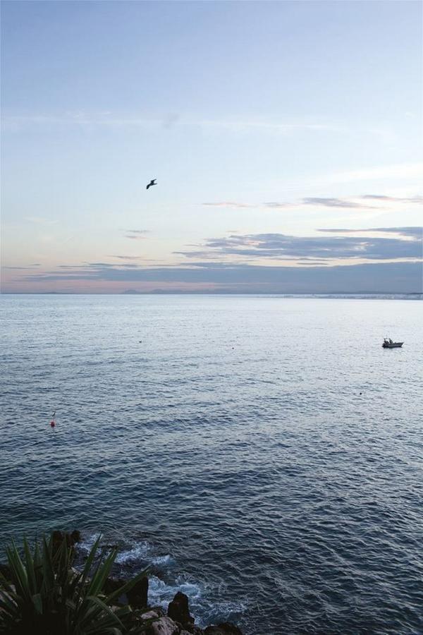 Le Gilly 6 - F3 Exceptionnel, Vue Mer, Moderne, Climatisation, Vieux-Nizza Esterno foto