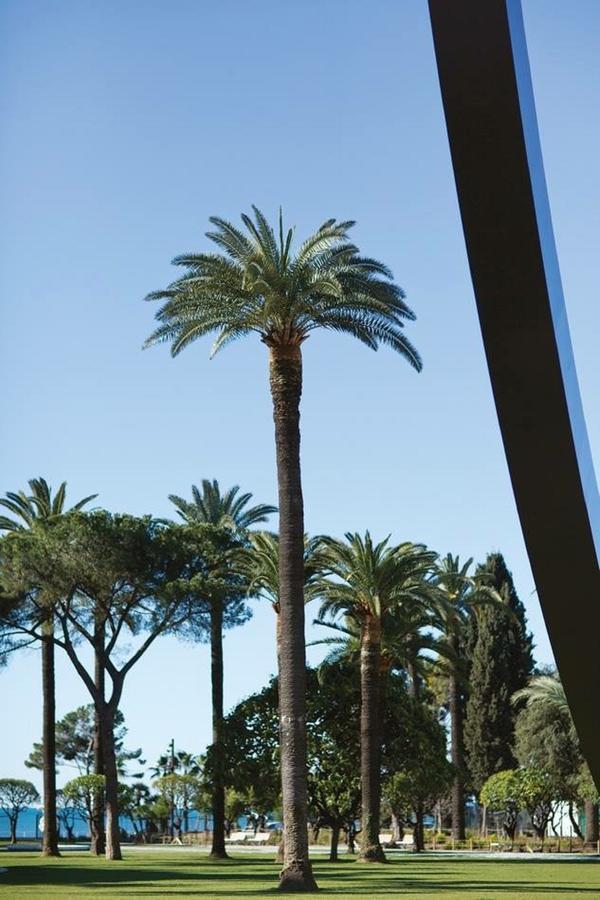 Le Gilly 6 - F3 Exceptionnel, Vue Mer, Moderne, Climatisation, Vieux-Nizza Esterno foto